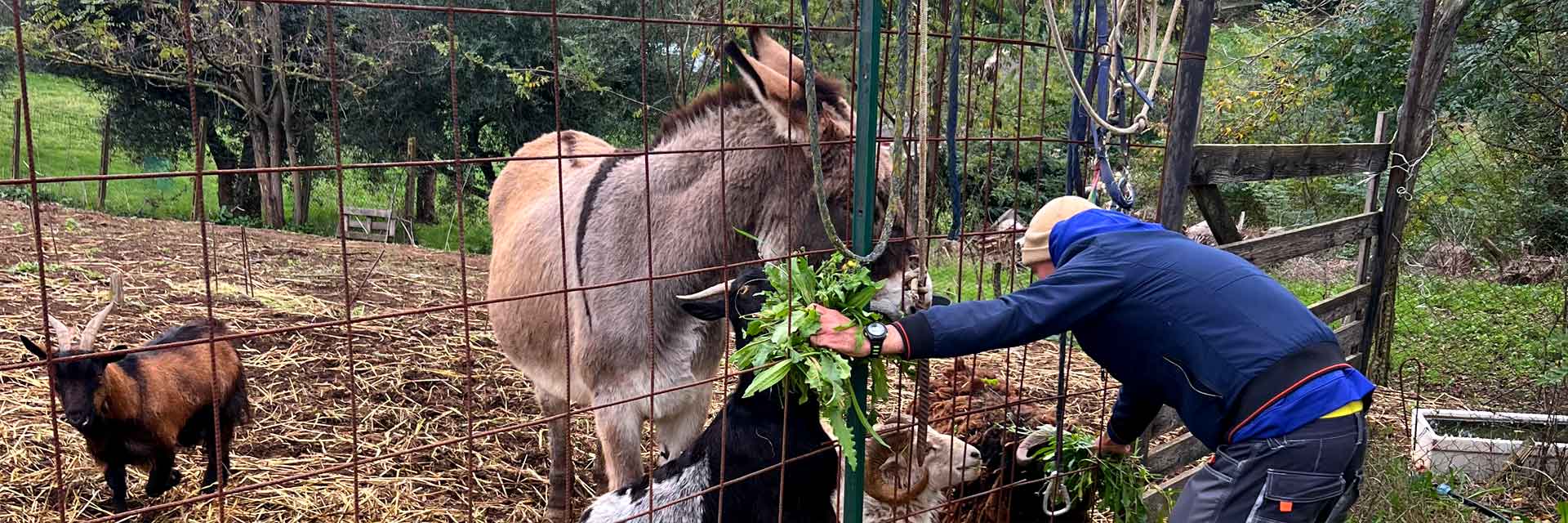 Parsec Agricultura Roma